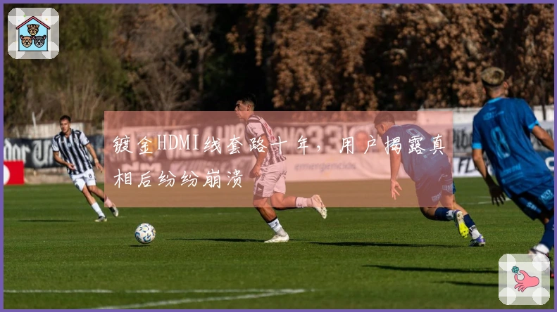 镀金HDMI线套路十年，用户揭露真相后纷纷崩溃